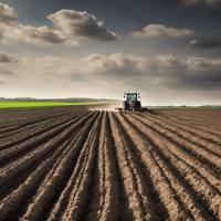 Actionable Soil Insights with Benjamin De Leener from ChrysaLabs